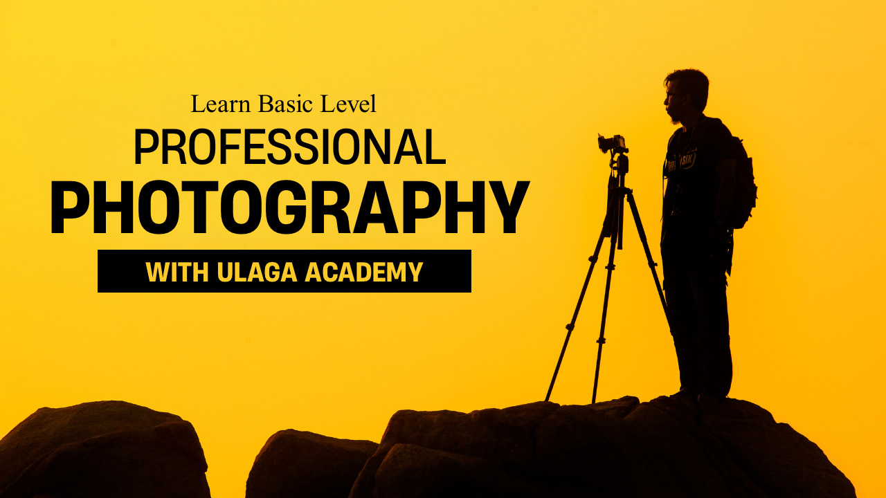 Professional Photography – Basic Level